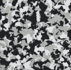 Dalmatian Dalmatian